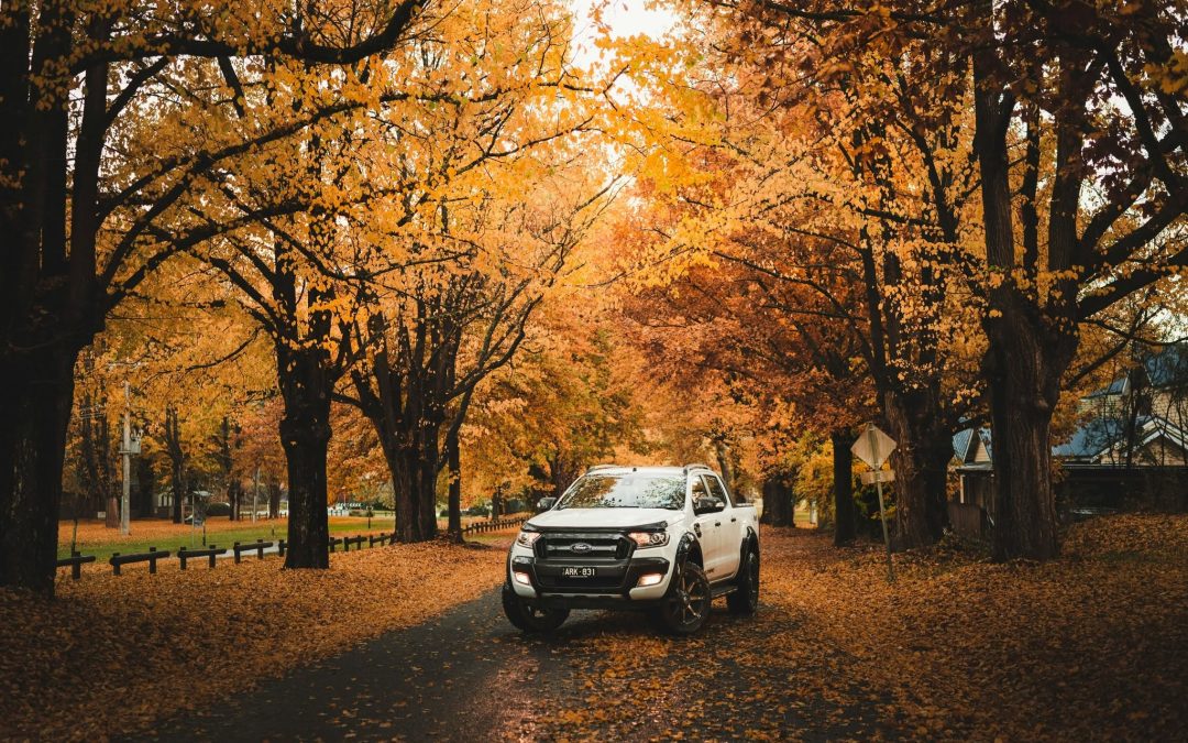 Buying a new vehicle for your business?