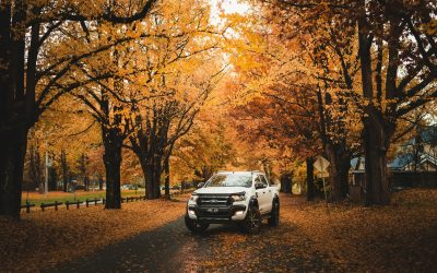 Buying a new vehicle for your business?